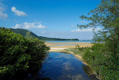 吹通川の風景