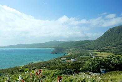 石垣島の風景